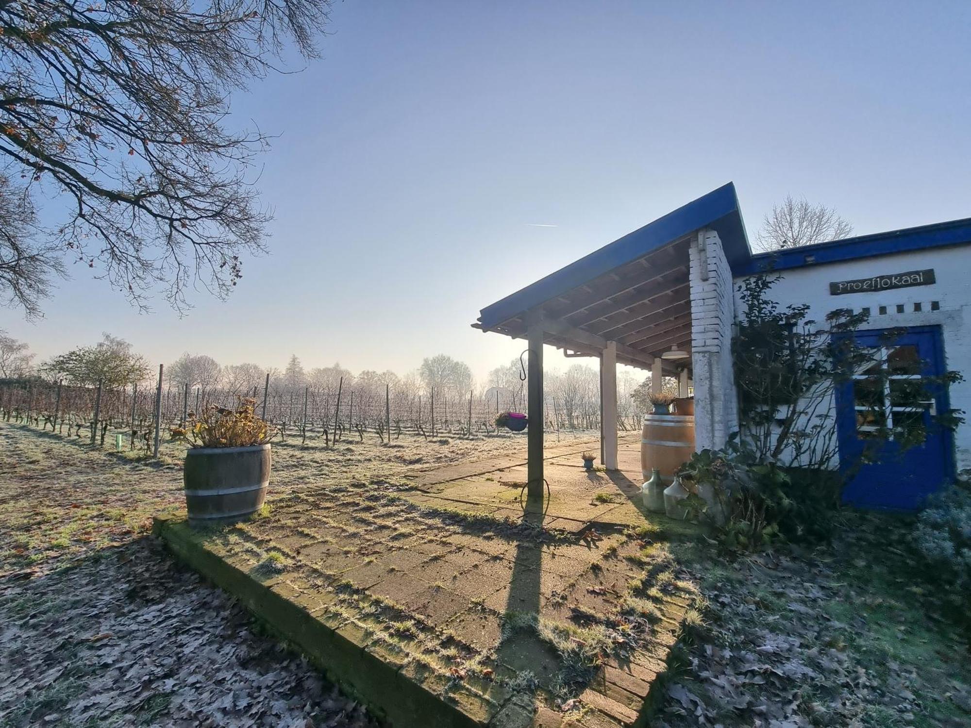 Wijnstaete Bed and Breakfast Lemelerveld Eksteriør billede