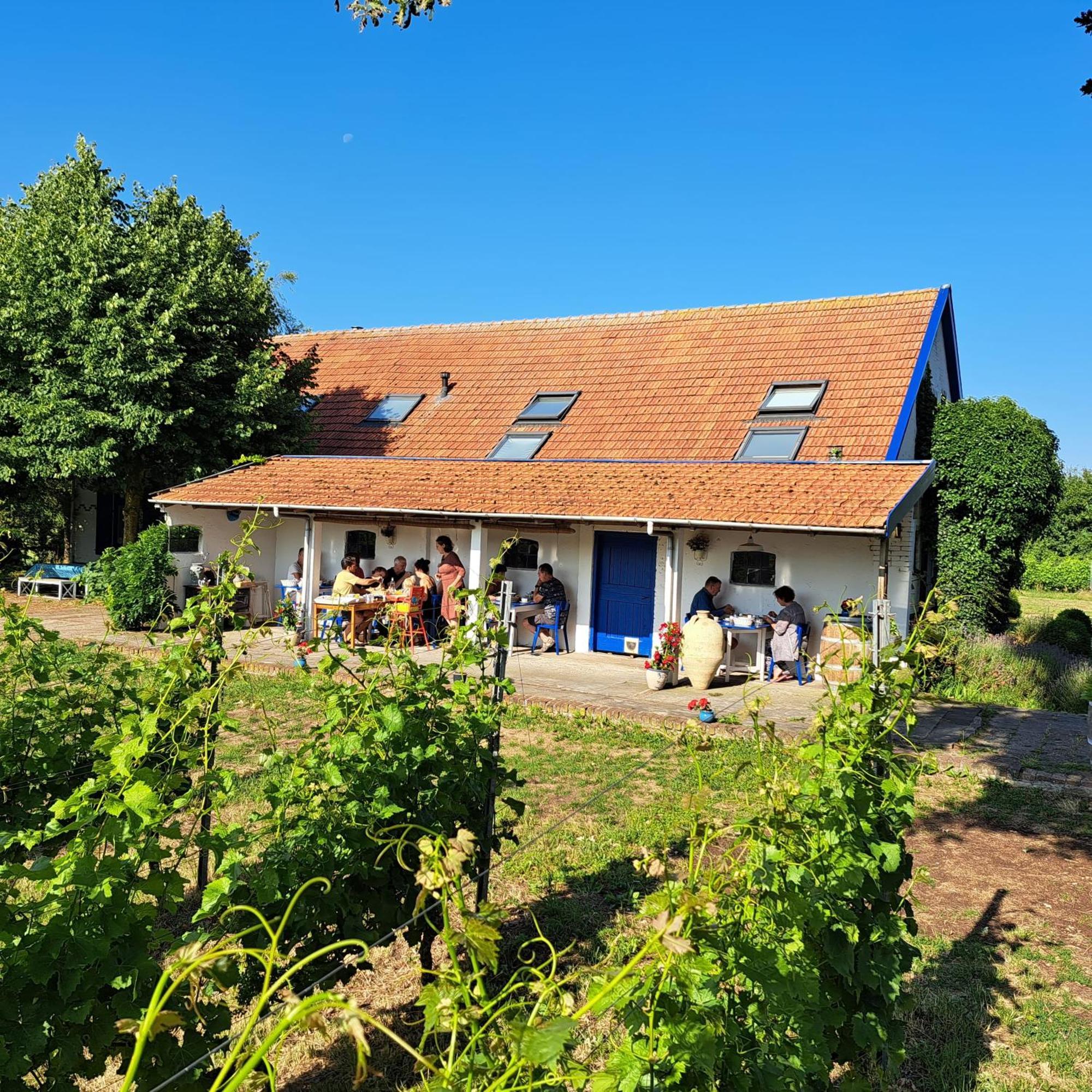 Wijnstaete Bed and Breakfast Lemelerveld Eksteriør billede