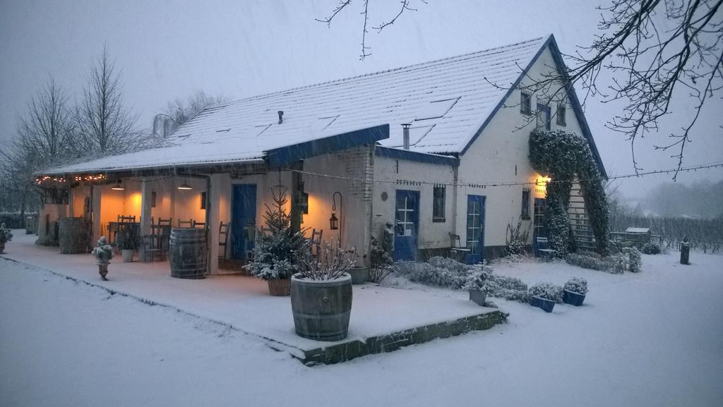 Wijnstaete Bed and Breakfast Lemelerveld Eksteriør billede
