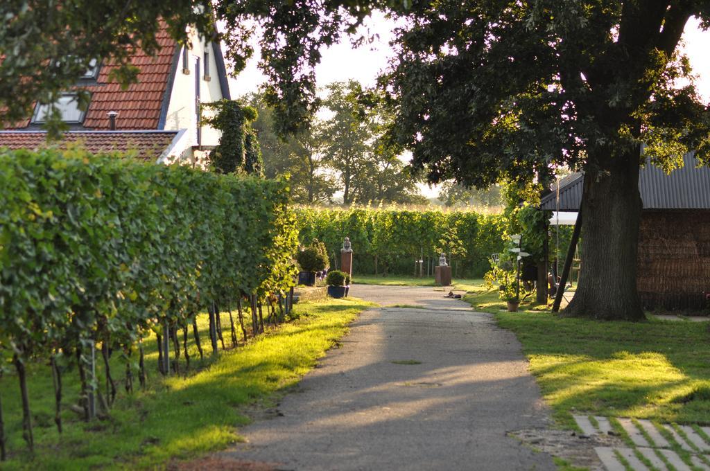 Wijnstaete Bed and Breakfast Lemelerveld Eksteriør billede